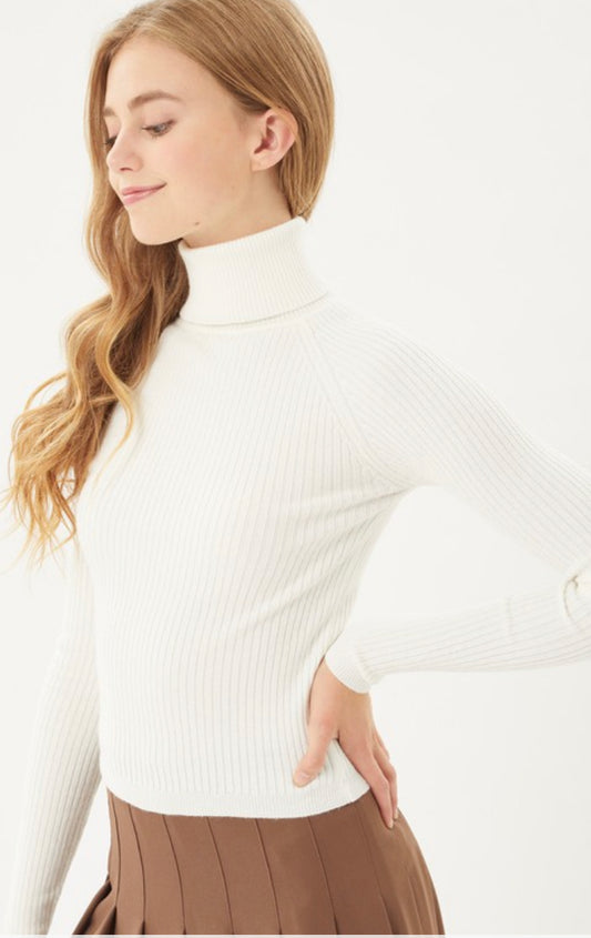 Turtleneck Top-Ivory